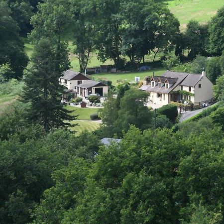 Ty Twt - Complete Holiday Home Llandysul Kültér fotó