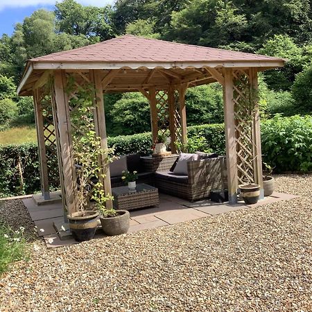 Ty Twt - Complete Holiday Home Llandysul Kültér fotó