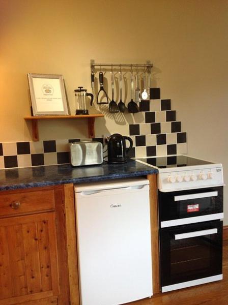 Ty Twt - Complete Holiday Home Llandysul Kültér fotó