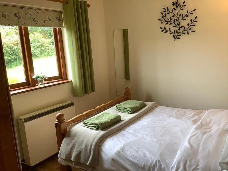 Ty Twt - Complete Holiday Home Llandysul Kültér fotó