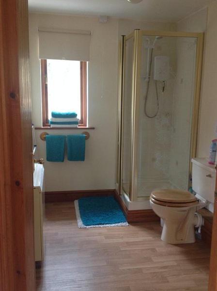 Ty Twt - Complete Holiday Home Llandysul Kültér fotó